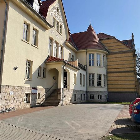 Apartment Zur Wiege Anhalts Ballenstedt Esterno foto