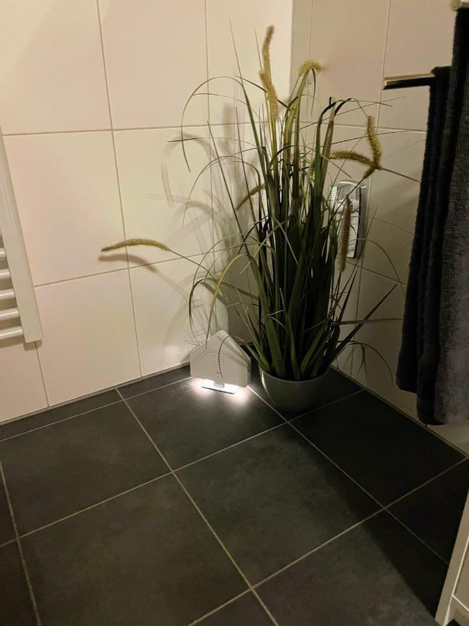 Apartment Zur Wiege Anhalts Ballenstedt Esterno foto